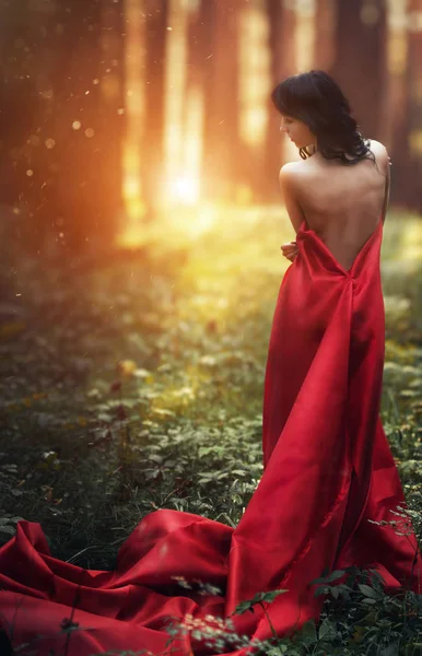 Vrouw in een lange rode jurk alleen in het bos. Fantastische en mysterieuze beeld van een meisje in een donker bos in de avondzon. Zonsondergang in het bos, de prinses verdwaald. — Stockfoto