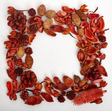 Kurutulmuş çiçek ve çam ormanından mockup dekoratif çerçeve 