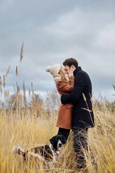 Paar verliefd wandelen in het Park, Valentijnsdag. Een man en een vrouw omarmen en kussen, een paar verliefd, tedere gevoelens en liefde, liefhebbers. — Stockfoto