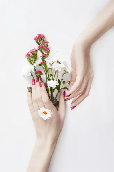 Hermosas manos bien arregladas con flores silvestres en la mesa, hormiga —  Fotos de Stock