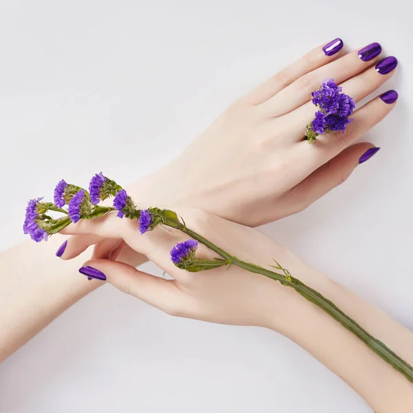 Fashion art skin care of hands and purple flowers in hands of wo