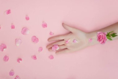 Kağıt üzerinde pembe çiçekler ve taç yaprakları olan bir el. C