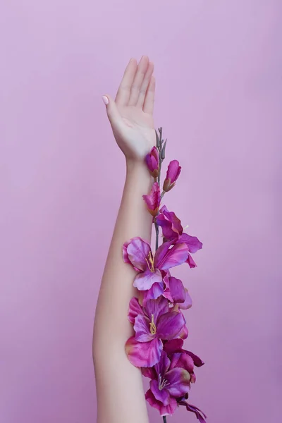 Mano con flores y pétalos rosados sobre un fondo de papel. C —  Fotos de Stock