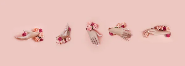 Conjunto de manos con flores artificiales que sobresalen del agujero pape rosa —  Fotos de Stock