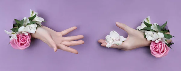 Краса Рука з квітами в лунці на фіолетовому паперовому фоні . — стокове фото