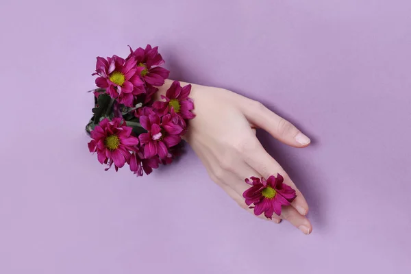 Belleza Mano con flores en un agujero en un fondo de papel morado . — Foto de Stock