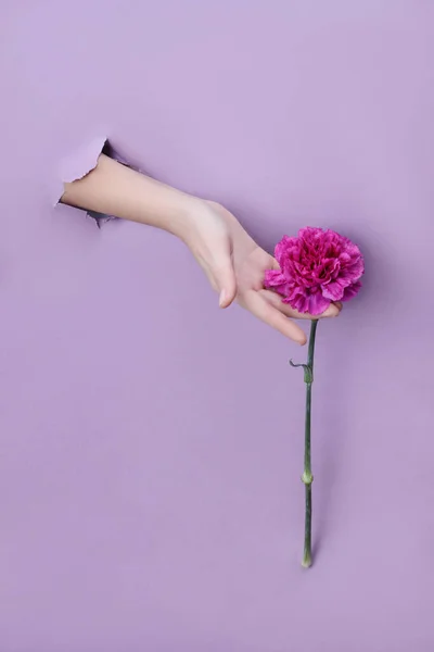 Ellerin Derisi Için Doğal Kozmetik Ürünler Nemlendirici Besleyici Çiçek Özü — Stok fotoğraf