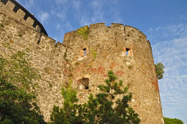 Stara wieża przeciw błękitne niebo w Gorizia — Zdjęcie stockowe