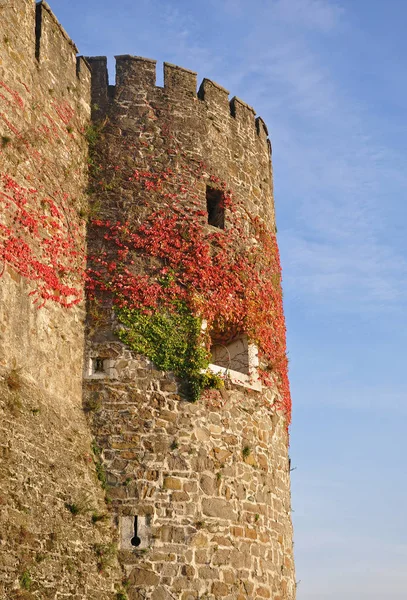 Torre velha contra o céu azul em Gorizia — Fotografia de Stock