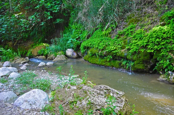 Corner of the Park in Turkey — Stock Photo, Image