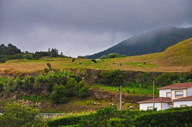 Şu ada o çayırlar üzerinde bulutlar altında inek otlatmak
