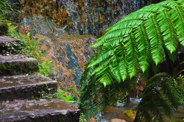 San Miguel Island Park köşesine