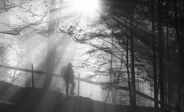 Muž putování do lesa — Stock fotografie