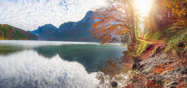 Weg am Alpsee im Herbstdekor — Stockfoto