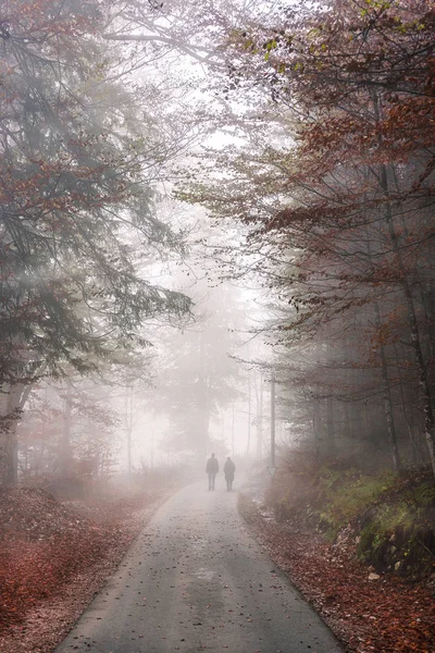 Straße durch Herbstwald und Nebel — Stockfoto