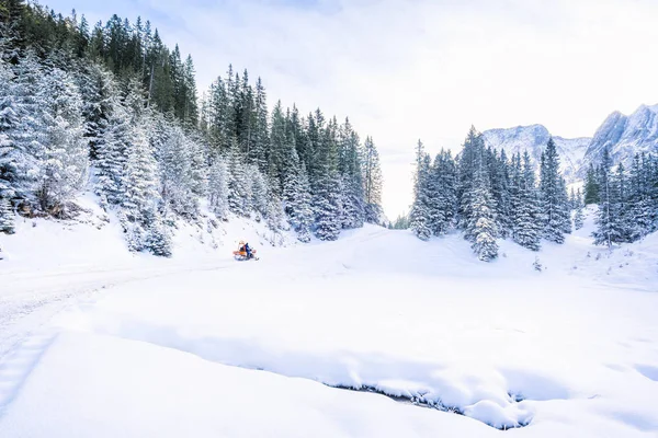 Arbres enneigés et montagnes — Photo