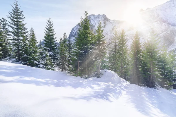 눈 산 및 나무를 통해 태양 광선 — 스톡 사진