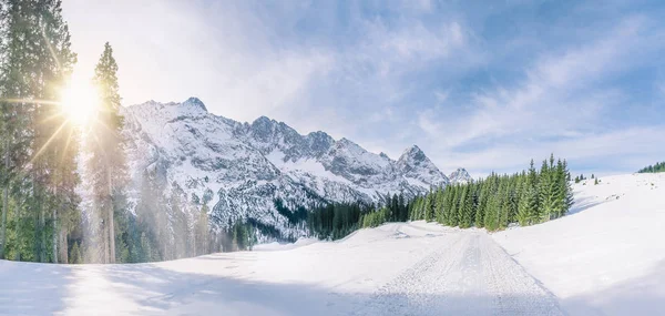 Soleil d'hiver dans un décor alpin enneigé — Photo