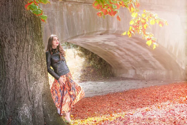 Mulher apoiada em uma árvore em cores de outono — Fotografia de Stock