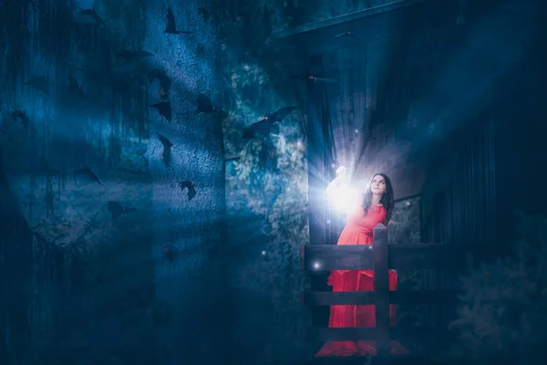 Karanlık bir ormanda ışık magic kadınla — Stok fotoğraf