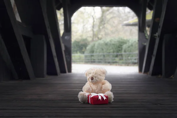 泰迪熊和礼物在木隧道 — 图库照片