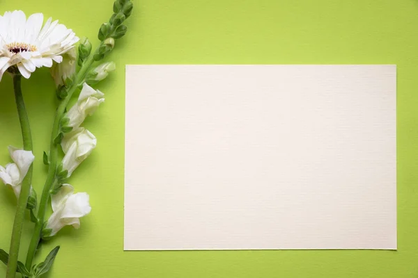 Zprávy karta a bílé květy — Stock fotografie