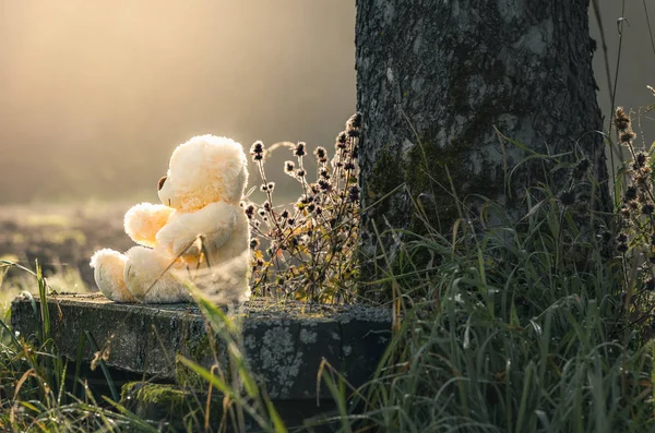 Teddy bear ensam på en bänk — Stockfoto