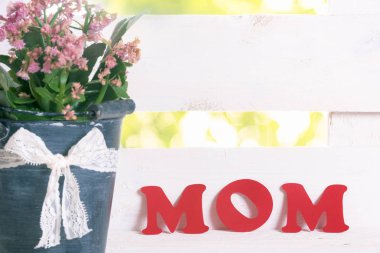 Anne word ve bir saksıyı