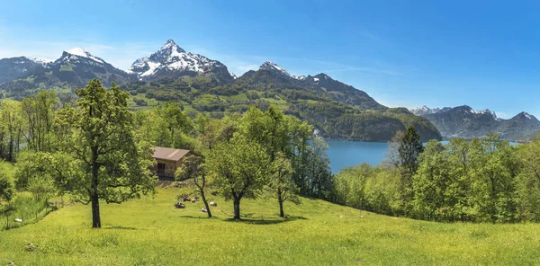 Bentang alam Swiss dengan pegunungan dan padang rumput — Stok Foto
