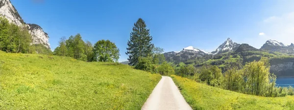 Strasse durch eine Wiese in den Schweizer Alpen — Stockfoto