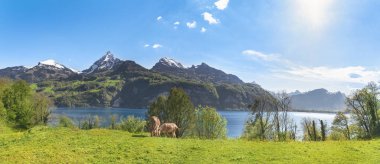 Alpler ile İsviçreli Alp sahne