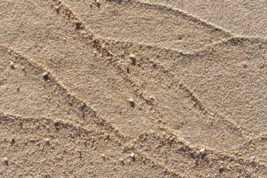 Güneş ışığında kum dokusu. Plaj geçmişi. Sarı kum 