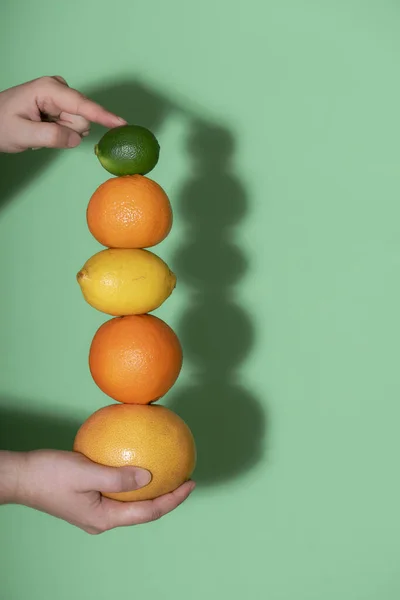 Fresh citrus fruits stack in hand. Summer fruits column — 스톡 사진