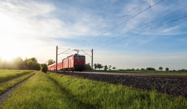 Красный поезд путешествует по летнему пейзажу. Поезд на природе — стоковое фото