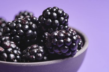 Blackberry 'nin yakın plan görüntüsü. Olgun böğürtlen meyveleri. Yaz meyvesi