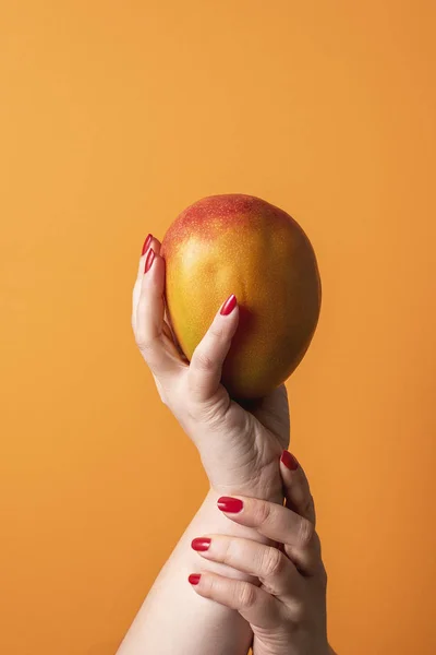 잘 익은 망고를 들고 있는 손. 신선 한 열 대 과일. 망고 열매 — 스톡 사진