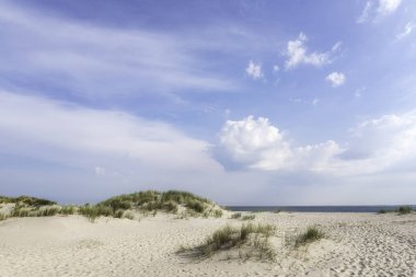 Beyaz kumlu sahil manzarası ve mavi gökyüzünün altında marram otları, Sylt Adası 'nda, Kuzey Denizi, Almanya' da. Yaz güneşli plaj manzarası. Boş sahil