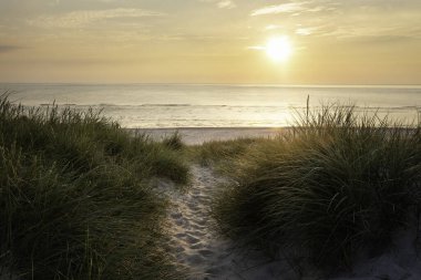 Beach sunset on Sylt island at the North Sea, Germany. Sand footpath through tall grass. Horizon over water at sunset. clipart