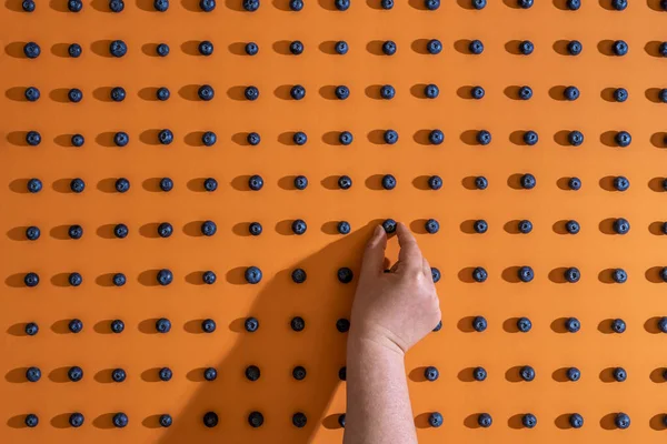 Kvinna Hand Ordna Blåbär Symmetriskt Sömlös Orange Bakgrund Platt Läggning — Stockfoto