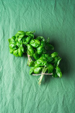 Yeşil kumaşlı taze organik fesleğen buketi. Ev yapımı fesleğen sürüsü. Aromatik bitkiler. Sağlıklı besinler..
