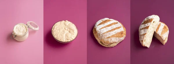 Making bread collage with sourdough starter, risen dough, and baked bread. Sourdough bread baking recipe. Preparing a loaf process in four steps.