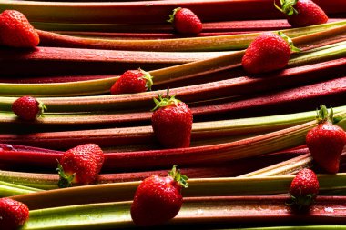 Rhubarb sapları ve üzerine su serpiştirilmiş çilekler. Aromatik meyve ve sebzeler. Rhubarb-çilek arka planı
