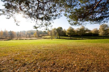 Şehir Parkı güzel sonbahar