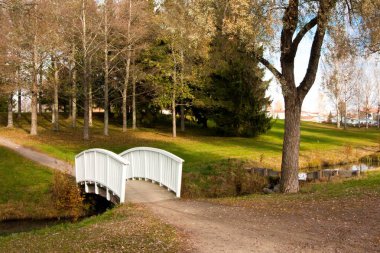 Şehir Parkı Köprüsü ve ördekler ile güzel sonbahar