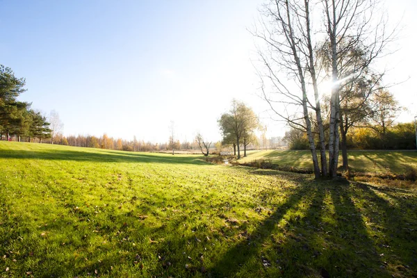 Şehir Parkı güzel sonbahar
