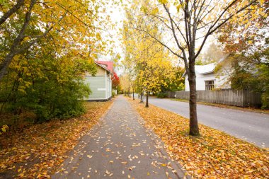 Eski müze bölgesi Kouvola, Finlandiya geçit üzerinde sonbahar yaprakları