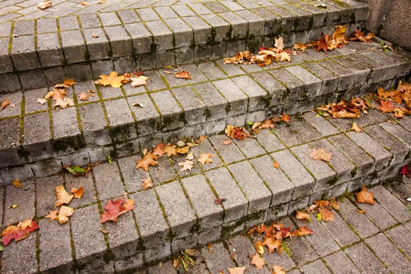 Caído otoño hojas de arce rojo en las escaleras de granito gris — Foto de Stock