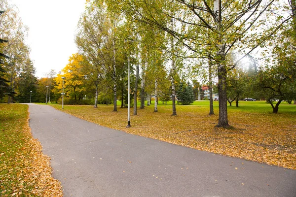 Herbstlaub auf dem Fußweg im alten Museumsviertel von Kouvola, Finnland — Stockfoto