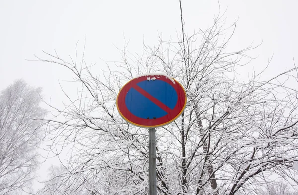 На фоне зимнего неба знак "Стоянка запрещена" . — стоковое фото