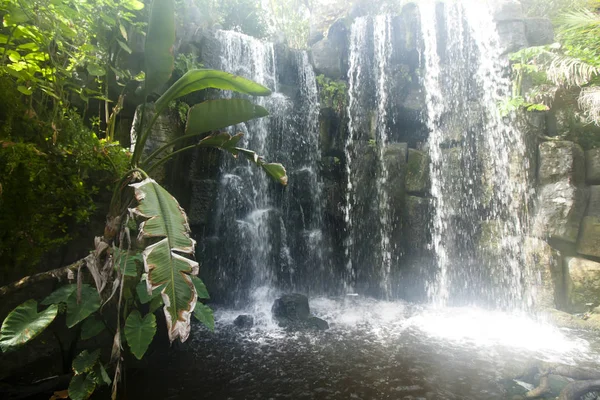 Gyönyörű vízesés jungle zöld trópusi erdő. — Stock Fotó